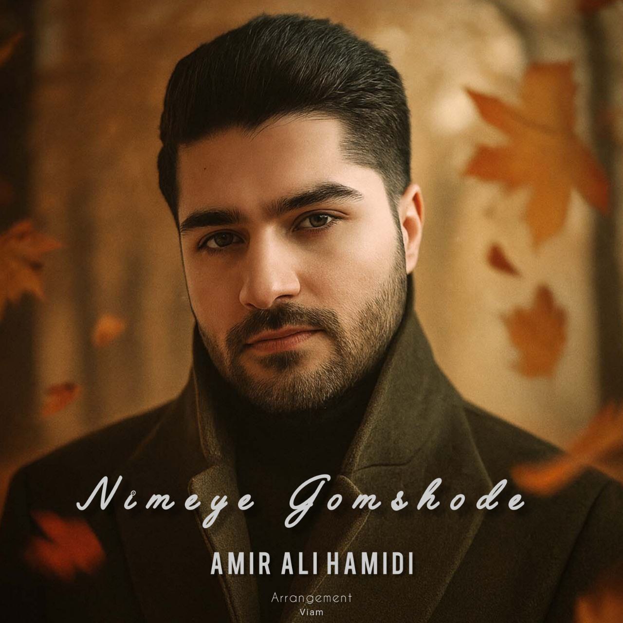 دانلود آهنگ امیر علی حمیدی به نام نیمه ی گمشده