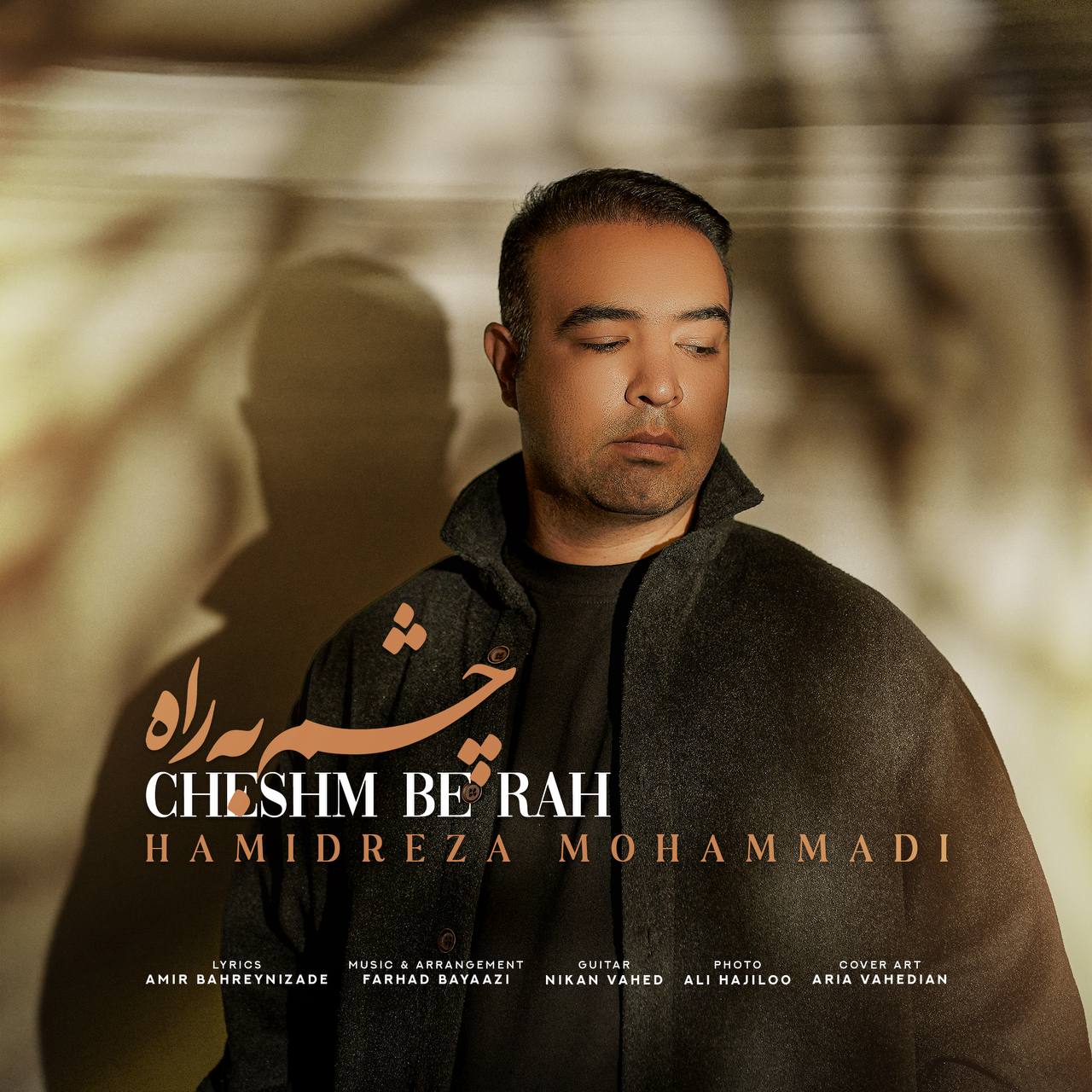 دانلود آهنگ حمیدرضا محمدی به نام چشم به راه